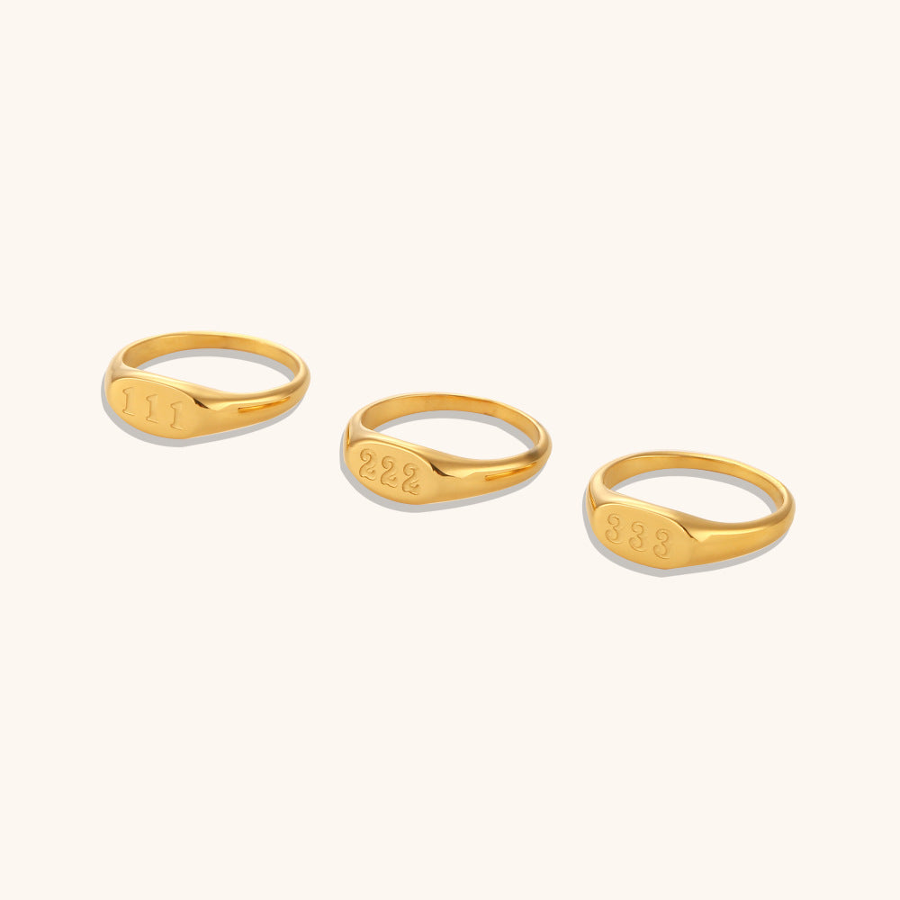 Stainless Steel Angle Number Signet Ring